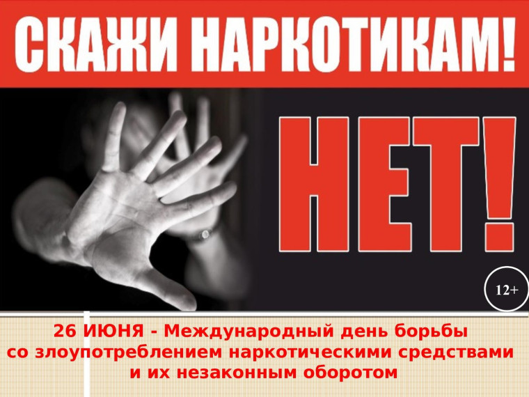 Информация о нормах действующего законодательства РФ, меры ответственности за совершение несовершеннолетними правонарушений и преступлений в сфере незаконного оборота наркотиков, а также о последствиях их потребления.